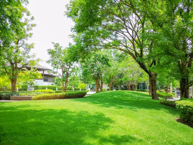 How To Keep Your Lawn Green Stayton OR How To Keep Your Lawn Green Stayton OR