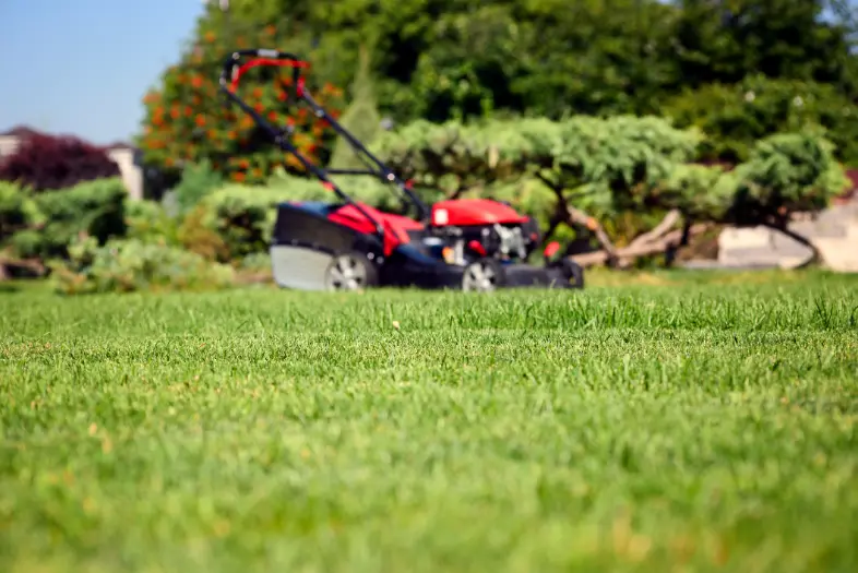 How To Keep Your Lawn Green in Stayton OR How To Keep Your Lawn Green in Stayton OR