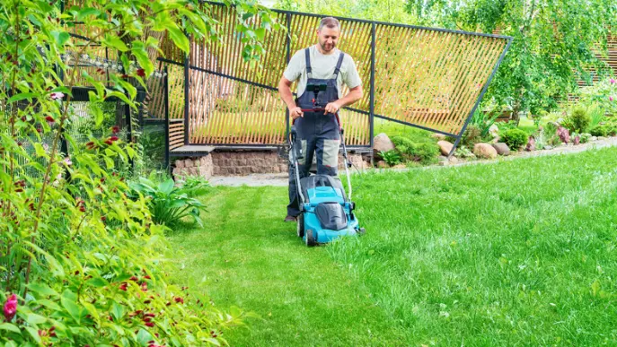How To Mow A Lawn Stayton OR How To Mow A Lawn Stayton OR