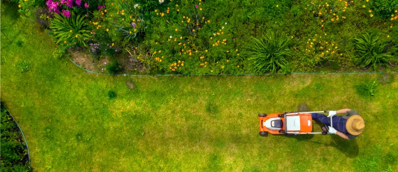 How To Take Care Of A Lawn Stayton OR How To Take Care Of A Lawn Stayton OR